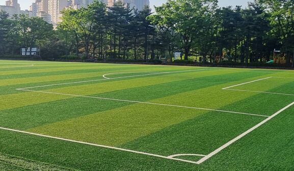 축구 근육운동, 축구 실력향상을 위한 근육운동 완벽 가이드